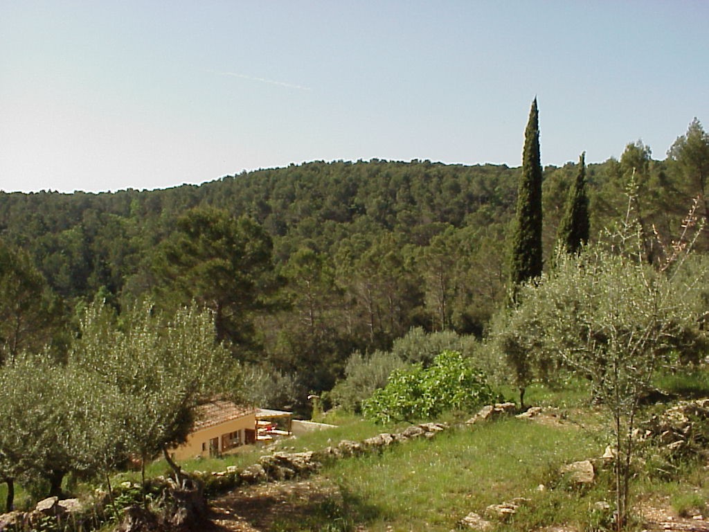 Freier Blick vom Cabanon über die Olivette und das Grundstück